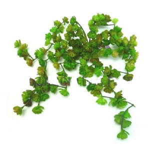 FLOR MINI SUCULENTA PENDENTE PLáSTICA