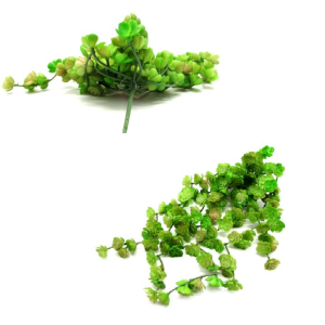 FLOR MINI SUCULENTA PENDENTE PLáSTICA