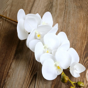 ORQUÍDEA EM SILICONE COM 8 BOTÕES