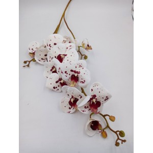 ORQUÍDEA C/12 03873 3D RAJADA