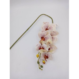 ORQUÍDEA C/6 BOTÕES 03898 3D