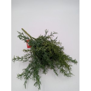 FOLHAGEM PLÁSTICA C/5 GALHOS DY-8657 ALECRIM