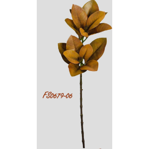 GALHO MAGNóLIA FS0679 14 FOLHAS