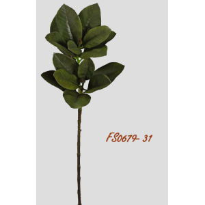 GALHO MAGNóLIA FS0679 14 FOLHAS