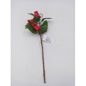 FLOR NATALINA AN101 AZEVINHO MED.