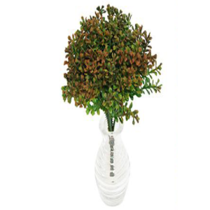 PICK C/6 GALHOS E/0901 BROTINHO PLáST.