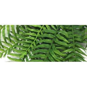 FOLHAGEM C/5 GALHOS SAMAMBAIA DN0017 SILICONE