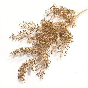 GALHO SY01484 FOLHINHAS DESIDRATADA PLáST. 100CM