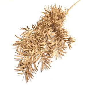 GALHO SY01484 FOLHINHAS DESIDRATADA PLáST. 100CM