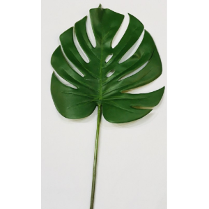 FOLHA UNITARIA DE COSTELA DE ADAO  SILICONADA