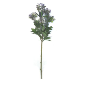 GALHO FLORZINHA AK0067 PLáST. COLOR 55CM