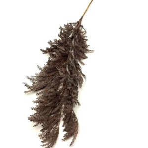 GALHO NI0006 CAPIM DOS PAMPAS 115CM