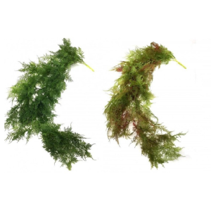 PENDENTE  SAMAMBAIA MINI