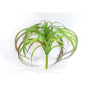 FOLHAGEM BW9221 BROMELIA GUSMANIA 20CM