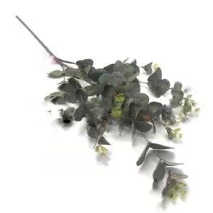 FOLHGEM GALHO DE EUCALIPTO AD0018 OUTONAL