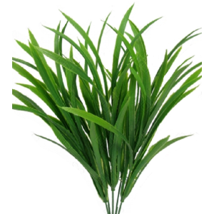 FOLHAGEM C/5 GALHOS E/0758 CAPIM VANILLA