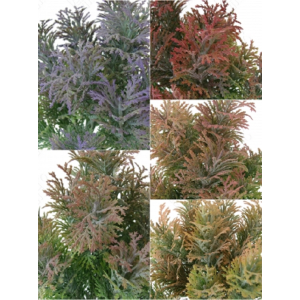 FOLHAGEM E/0912 MINI PINHEIRO 20CM