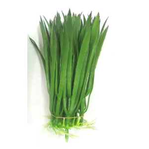 CAPIM EL0024 FOLHAGEM 20CM