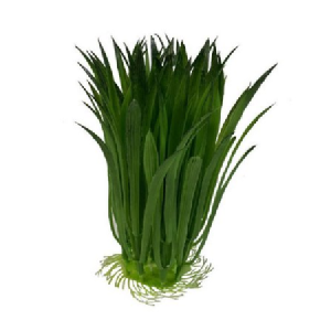 CAPIM EL0024 FOLHAGEM 20CM