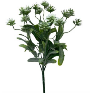 FOLHAGEM CAPIM C/5 GALHOS 0095 MINI SUCULENTA