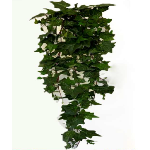 PENDENTE BW8001 HERA 90CM