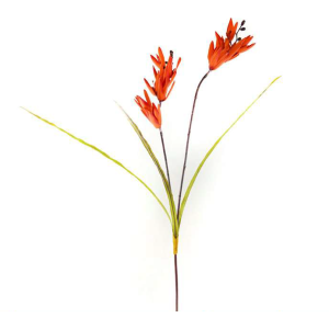 GALHO FRESIA BW54 C/CAPIM 100CM