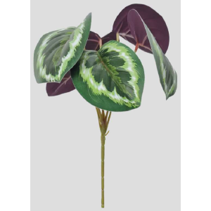 FOLHAGEM C/6 GALHOS FS1009-01 FITONIA