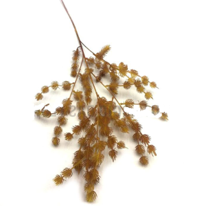 FOLHAGEM LE0129 ERVA CARRAPICHO