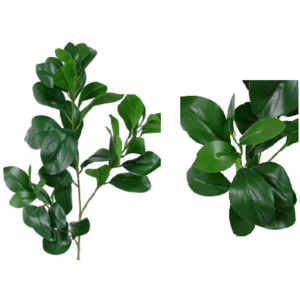 GALHO CLUSIA E/0763 TOQUE NATURAL 65CM