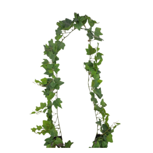 CORRENTE FOLHA DE HERA PREMIIUM