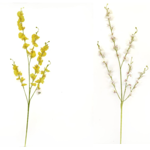 FLOR CHUVA DE OURO 87054