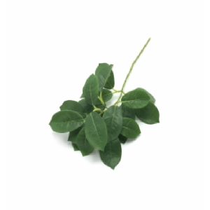 FOLHAGEM W300-162 BLUME VERDE 35CM