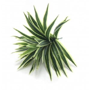 FOLHAGEM W507-32 YUCCA 27CM