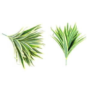 FOLHAGEM W507-32 YUCCA 27CM