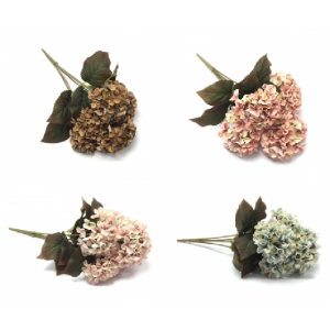 HORTÊNCIA X5 W300-172 ENVELHECIDA