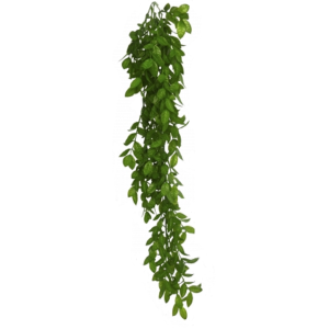 PENDENTE E/1058 MINI FICUS 78CM