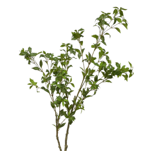 ÁRVORE 0371-39 FICUS RETUSA 1,40M