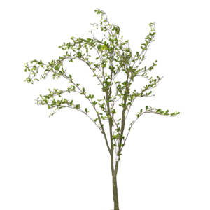 ÁRVORE  OLIVEIRA PREMIUM 1,80M