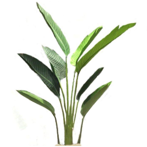 ÁRVORE LD0140 BANANEIRA VERDE
