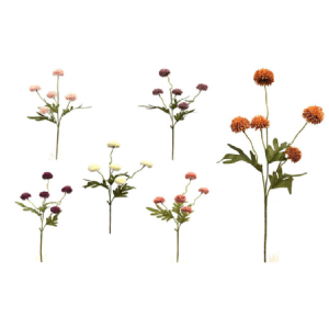 FLOR DE ALHO COM 5  GALHOS