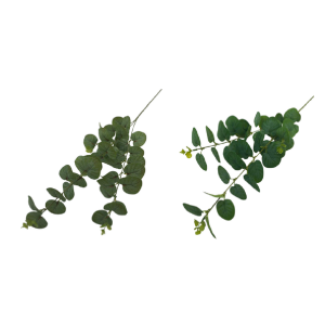 GALHO AA-0088/BG397015 EUCALIPTO 75CM