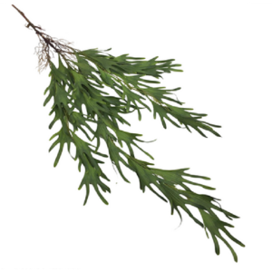 PENDENTE BG320008 CHIFRE DE ALCE