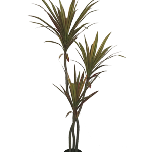 ÁRVORE LD0144 YUCCA