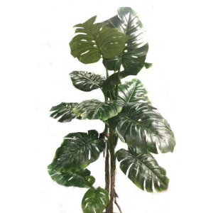 ÁRVORE LD0162 COSTELA DE ADÃO