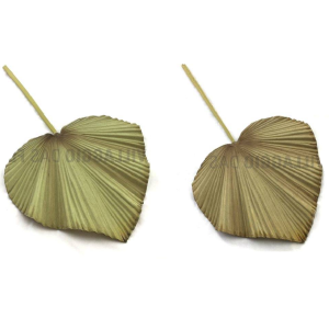 FOLHA LATÂNIA DI0424 EMBORRACHADA