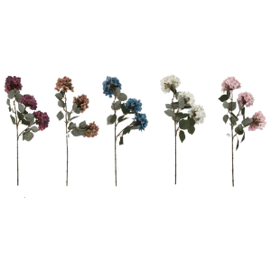 GALHO B23-40 HORTÊNCIA