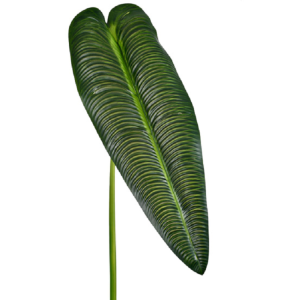 FOLHA UNITARIA GIGANTE  DE ANTURIO EM PVC