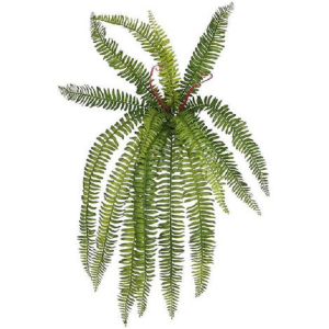 FOLHAGEM SAMAMBAIA X15LUXO