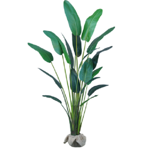 ÁRVORE RAVENALA GIGANTE  C/18 FOLHAS