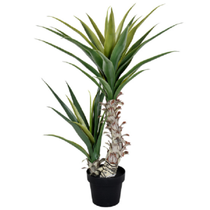 ÁRVORE AGAVE COM2 GALHOS